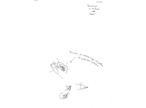 Desmometopa nr. meridionalis, draft drawing 2